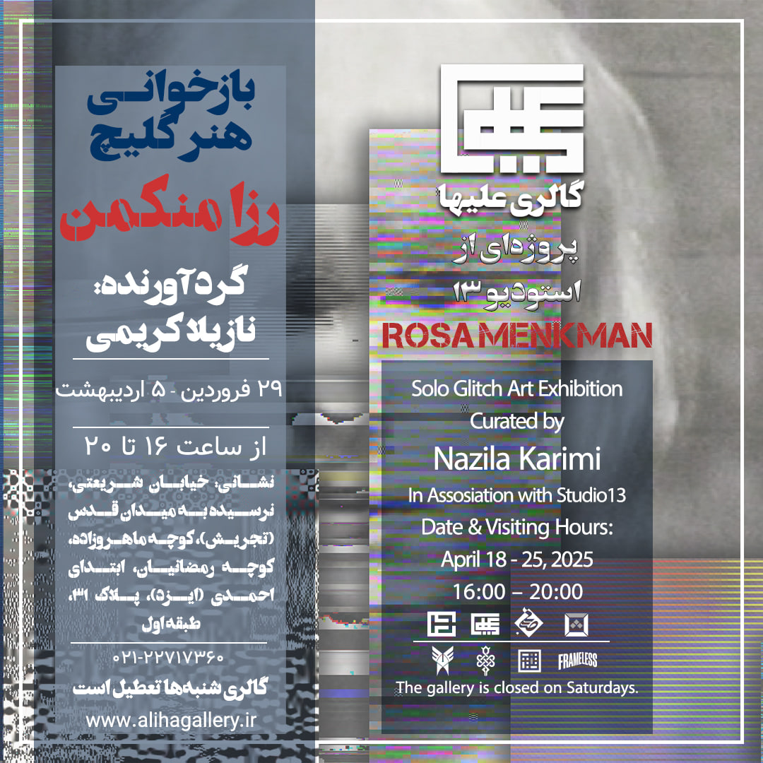 Re-reading Digital Errors:Studies on Glitch Art by Rosa Menkman